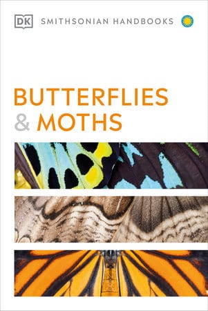 Butterflies And Moths – Ravenstone