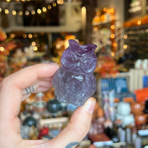 Fluorite Owl