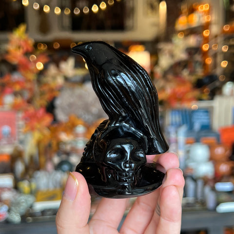 Obsidian Raven on Skulls