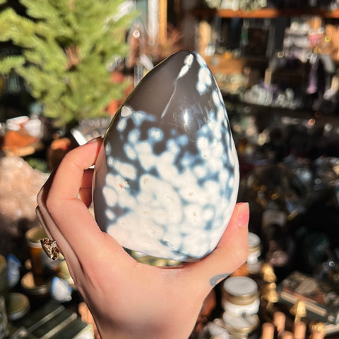 Orca Agate "Ashley"