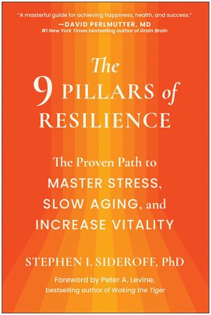 The 9 Pillars of Resilience