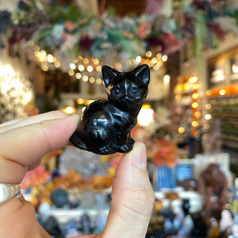 Obsidian Cat