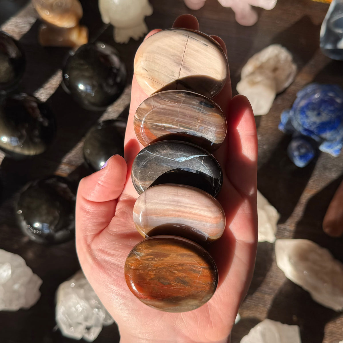 Petrified Wood Worry Stone | Thumb Stone