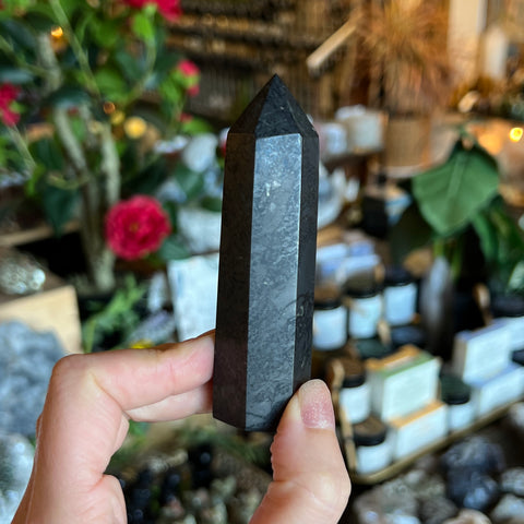 Shungite Point