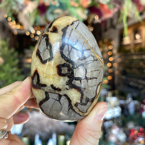 Septarian Stone "Alice"