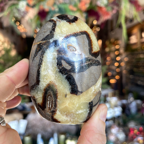 Septarian Stone "Mary"