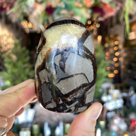 Septarian Stone "Irene"