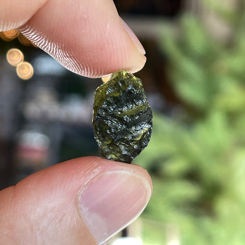 Moldavite "Ivy"