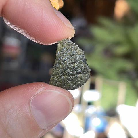 Moldavite "Holly"