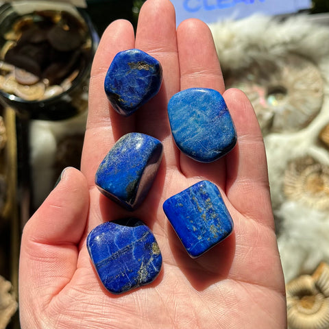 Lapis Lazuli Tumble