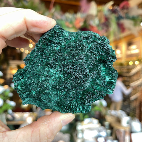 Fibrous Malachite "Kate"