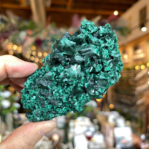 Fibrous Malachite "Mary"