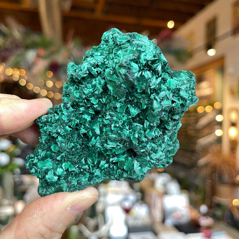 Fibrous Malachite "Susan"