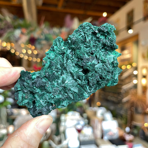 Fibrous Malachite "Jenna"