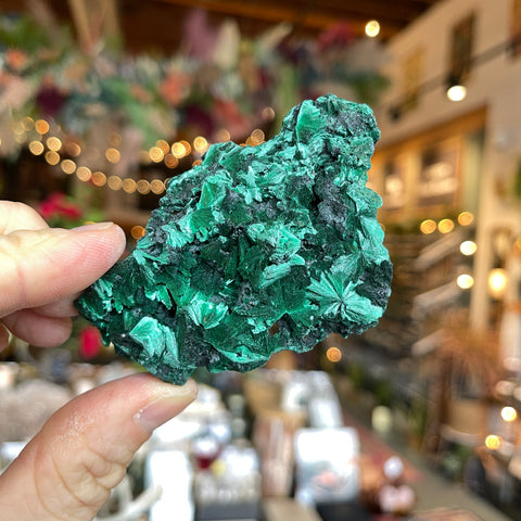 Fibrous Malachite "Fiona"