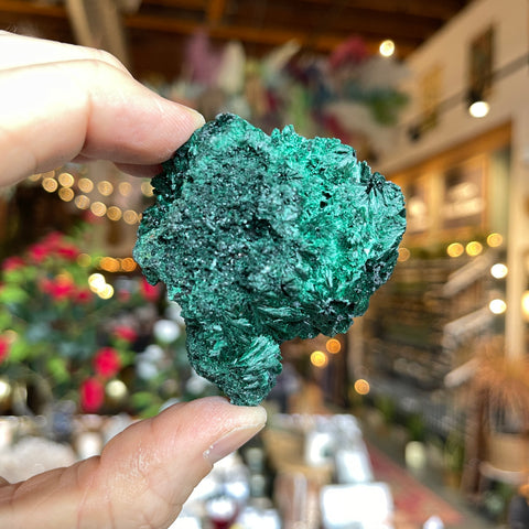 Fibrous Malachite "Flora"