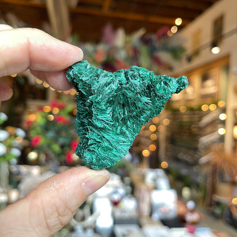 Fibrous Malachite "Rina"