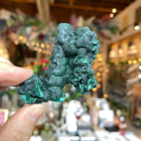 Fibrous Malachite "Gloria"