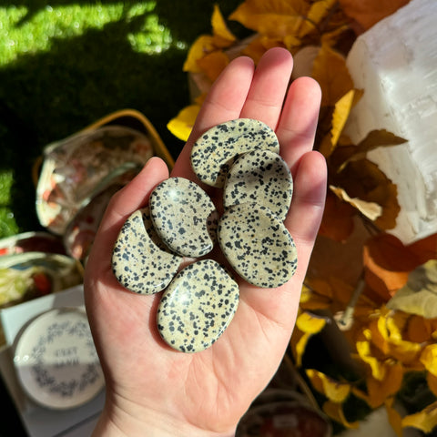 Dalmatian Jasper Worry Stone | Thumb Stone