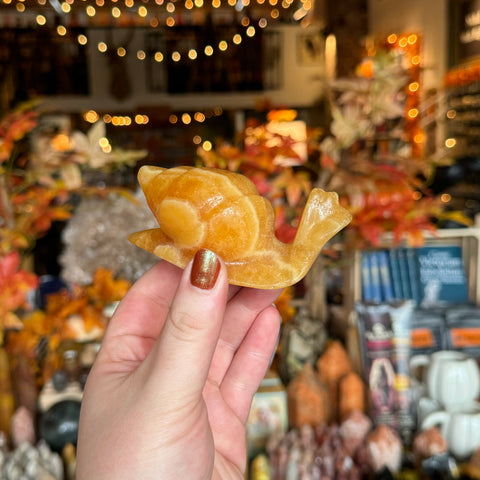 Orange Calcite Snail