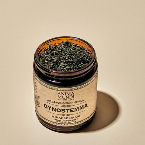 Anima Mundi Apothecary Gynostemma | miracle grass