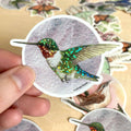 Lucinda Rowe Art Ruby-Throated Hummingbird Glitter Vinyl Sticker