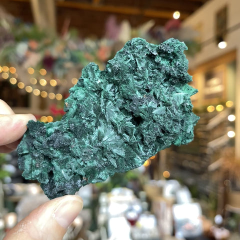 Fibrous Malachite "Jenna"