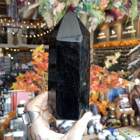 Black Tourmaline "Jen"