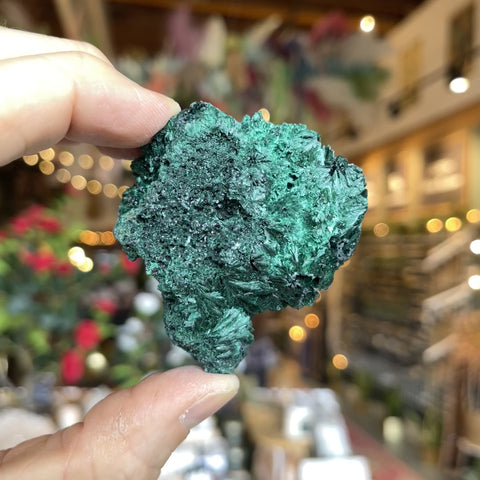 Fibrous Malachite "Flora"