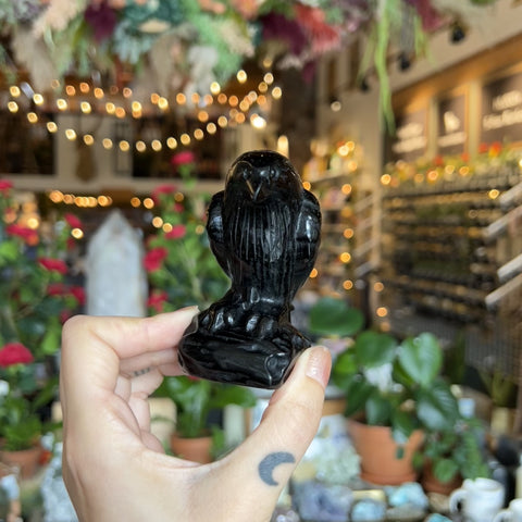 Large Obsidian Raven