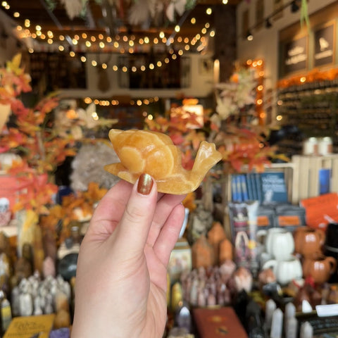 Orange Calcite Snail