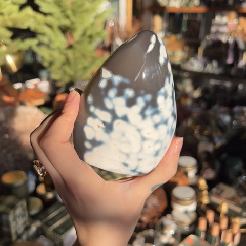 Orca Agate "Ashley"