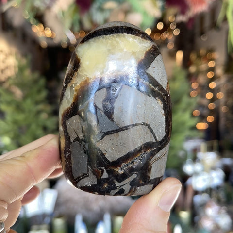 Septarian Stone "Irene"