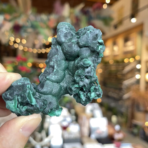 Fibrous Malachite "Gloria"