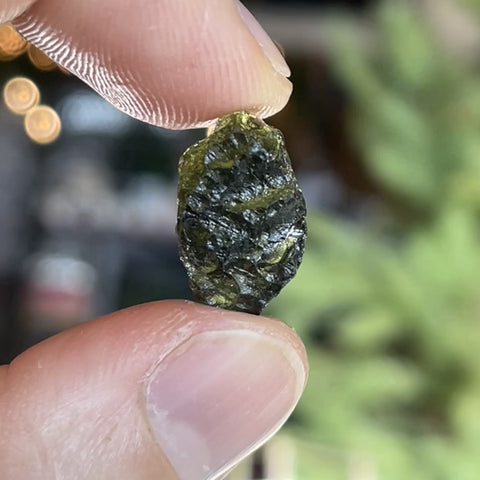 Moldavite "Ivy"