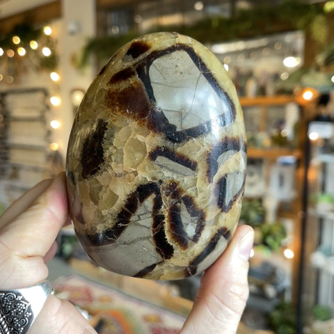 Septarian Stone "Keegan"