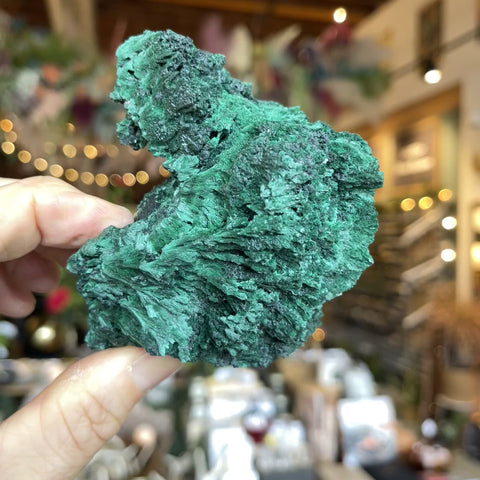 Fibrous Malachite "Scarlett"