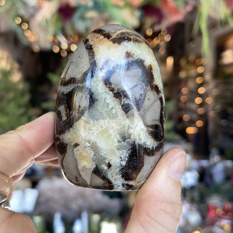 Septarian Stone "Diana"