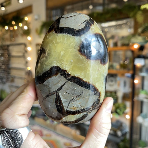 Septarian Stone "Caleigh"