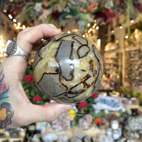 Septarian Stone "Claire"