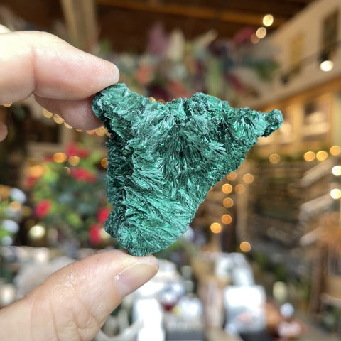 Fibrous Malachite "Rina"