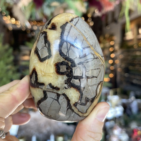 Septarian Stone "Alice"