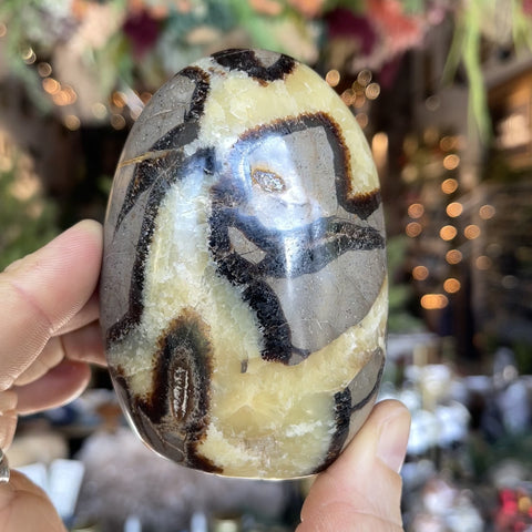 Septarian Stone "Mary"