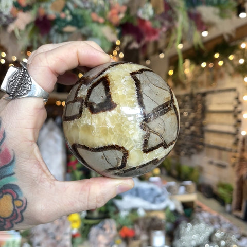 Septarian Stone "Dina"