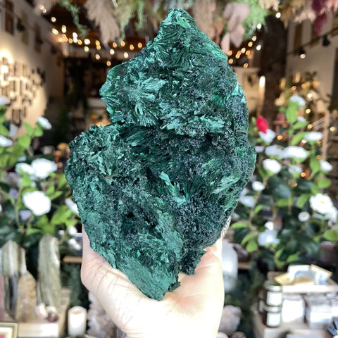 Fibrous Malachite "Gabrielle"