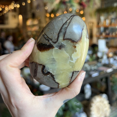 Septarian Stone "Clair"