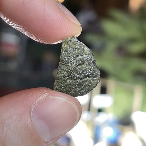 Moldavite "Holly"