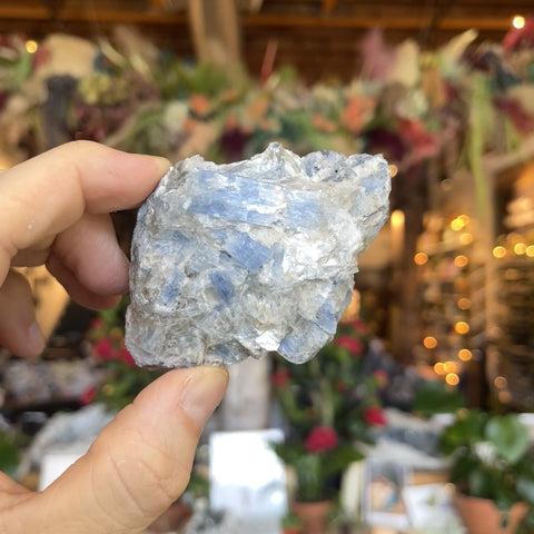 Blue Kyanite “Dale"