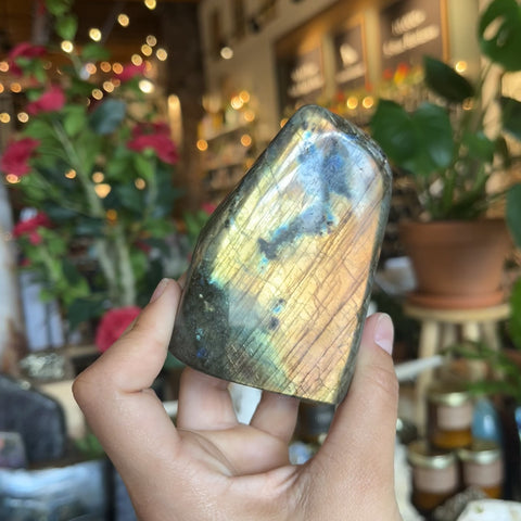 Labradorite "Ezra"