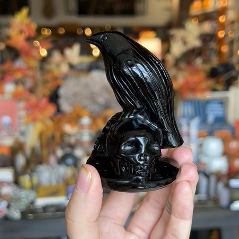 Obsidian Raven on Skulls